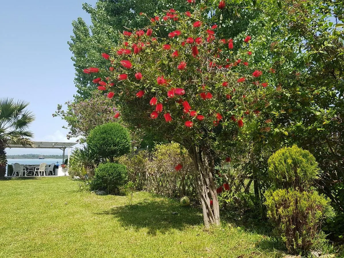 Dimitra'S House Villa Vourvourou Holiday home